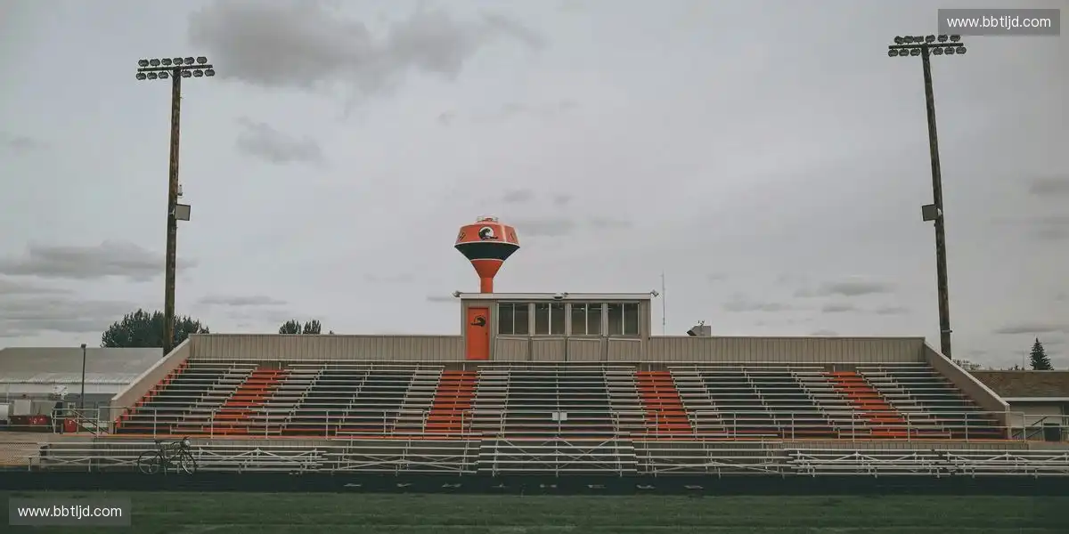 专业化赛事推广 增强市场渗透力